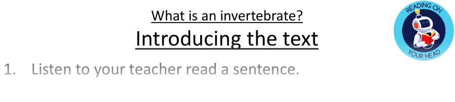 Teaching slides vocabulary-What is an invertebrate