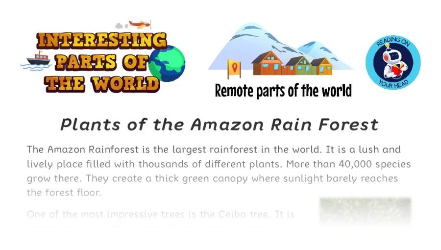 Plants of the Amazon Rain Forest - condensed version
