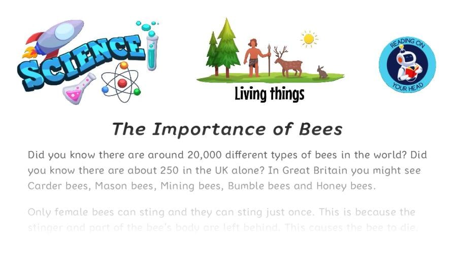 The Importance of Bees - condensed version