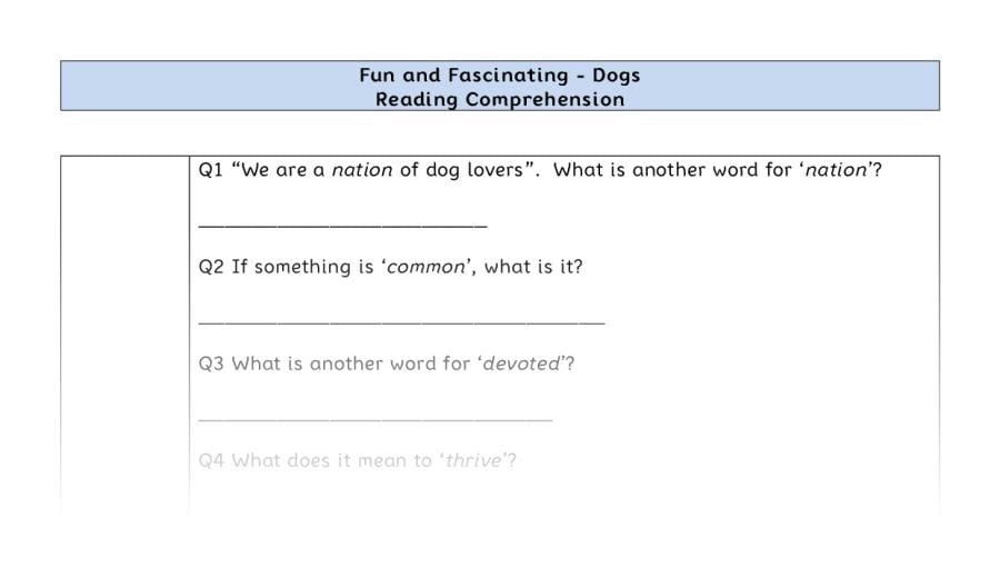 Reading Comprehension-Dogs-Vocabulary Focus
