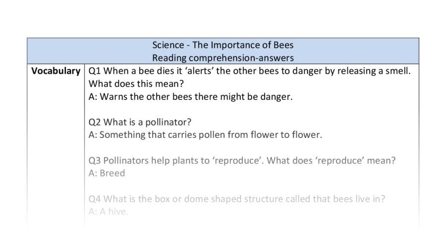 Reading comprehension - vocabulary - The Importance of Bees - answers