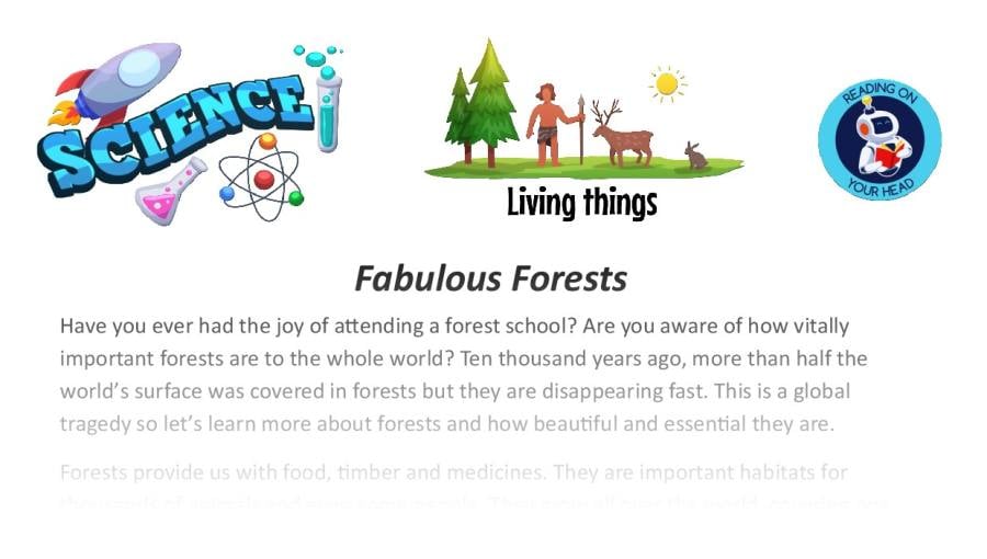 Fabulous forests