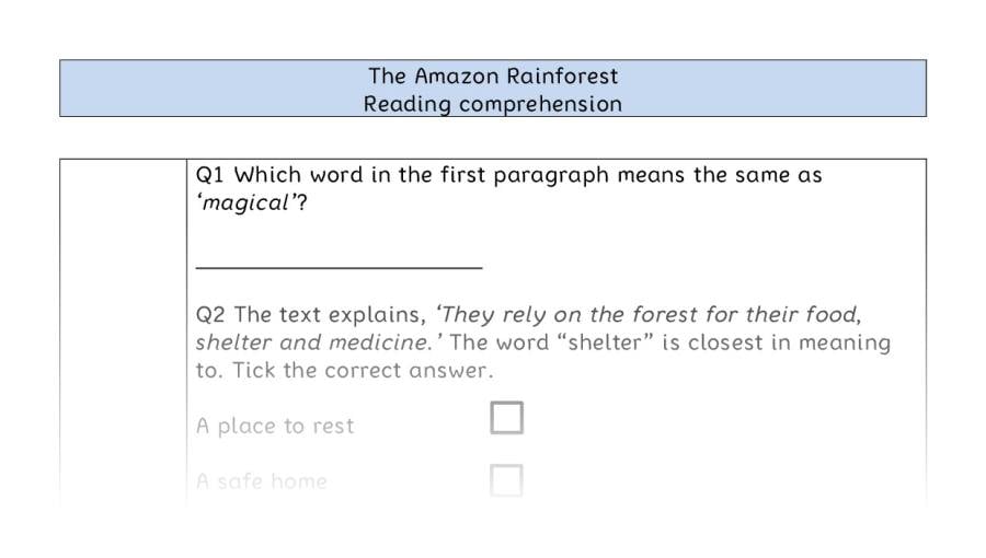 Reading comprehension VRSIPE-The Amazon Rainforest