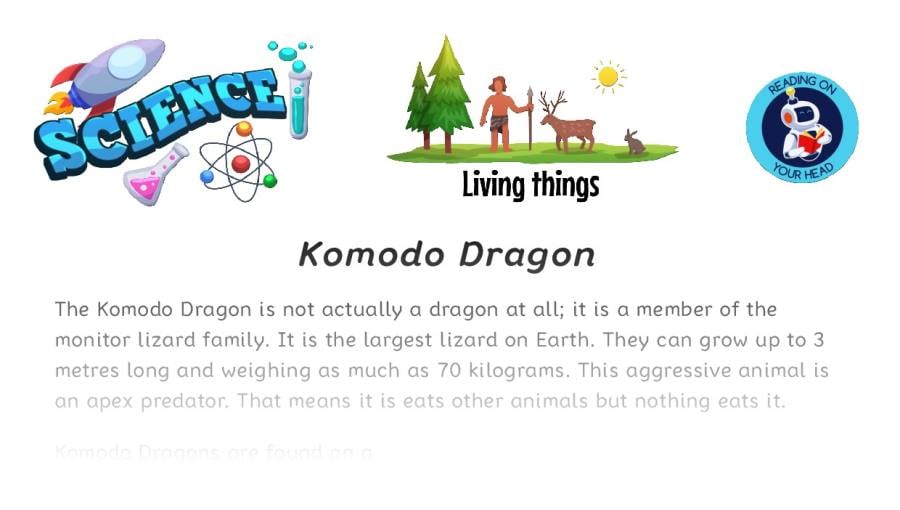 Komodo Dragon-condensed version