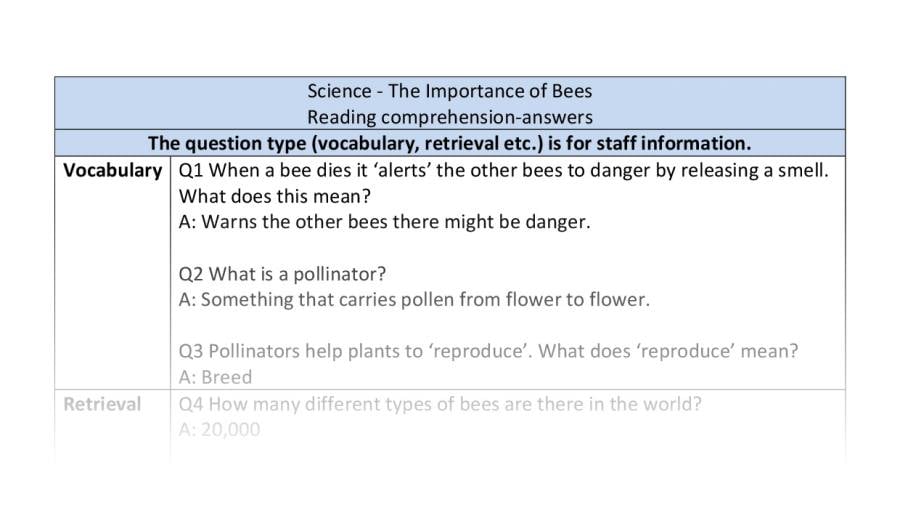 Reading comprehension - VRSIPE - The Importance of Bees - answers