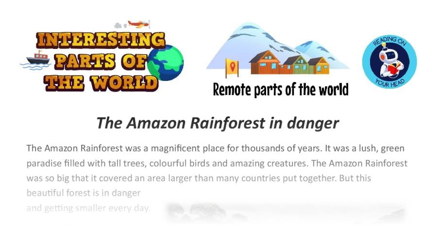 The Amazon Rainforest in danger