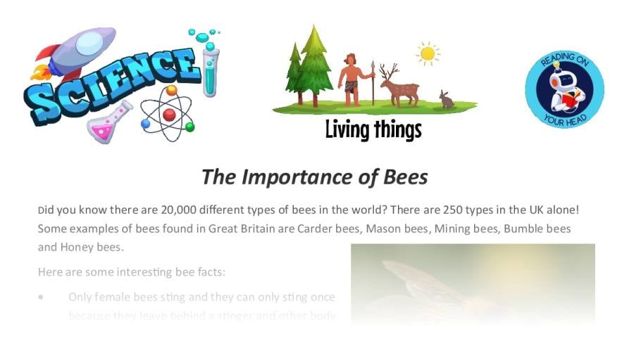 The Importance of Bees