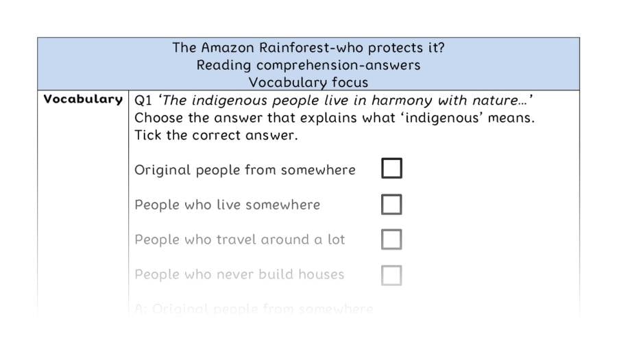 Reading comprehension - vocabulary - The Amazon Rainforest-who protects it - answers