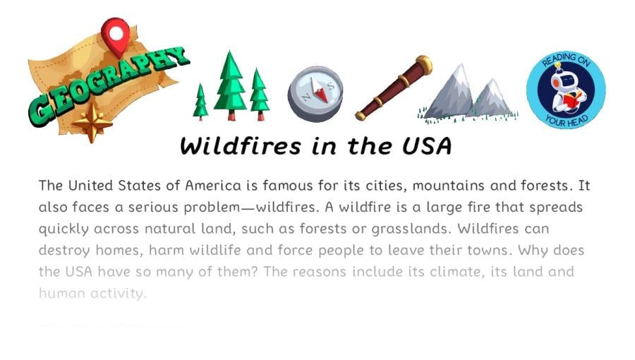 Wildfires in the USA - condensed version