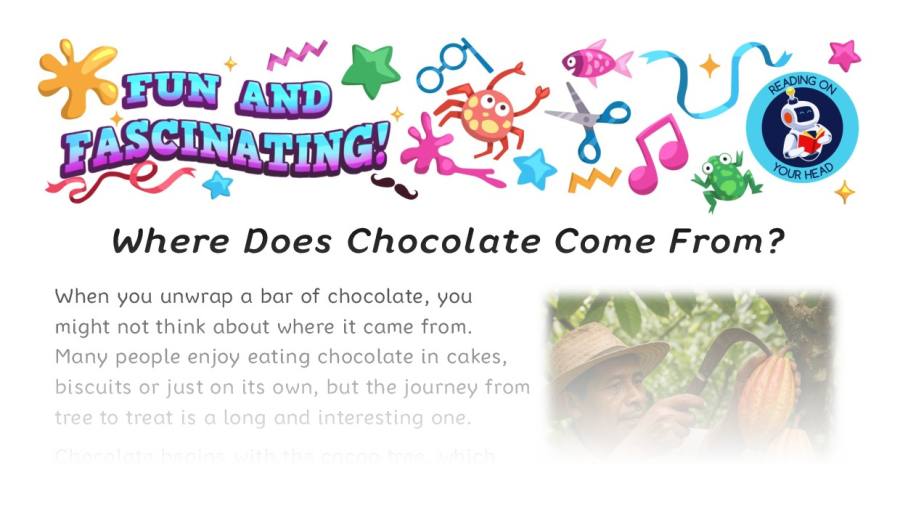 Where Does Chocolate Come From