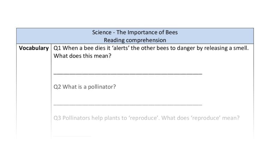 Reading comprehension - vocabulary - The Importance of Bees
