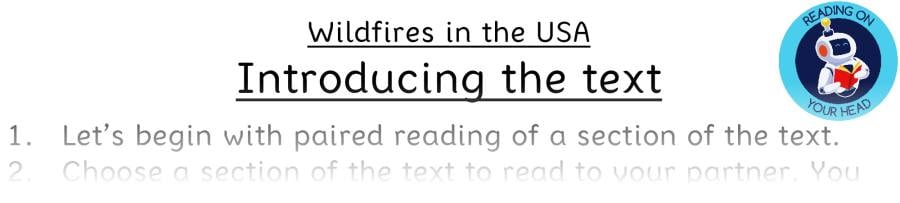 Teaching slides vocabulary - Wildfires in the USA