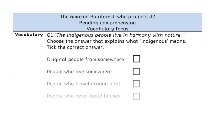 Reading comprehension - vocabulary - The Amazon Rainforest-who protects it