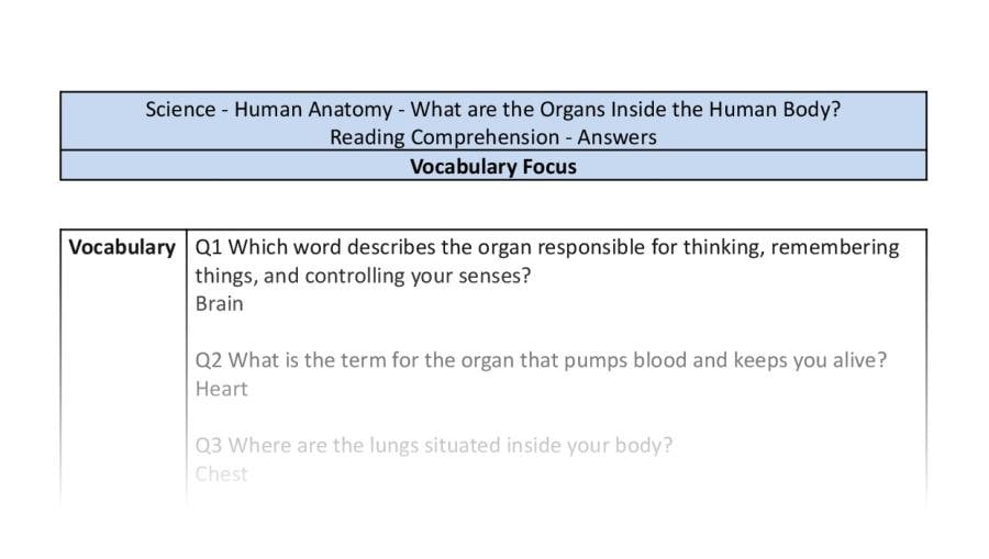 Reading Comprehension - What are the Organs Inside the Human Body - Vocabulary Focus