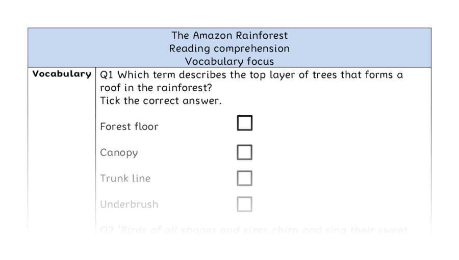 Reading comprehension - vocabulary - The Amazon Rainforest