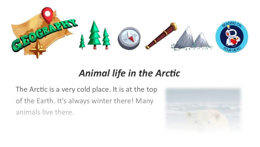 Animal life in the Arctic