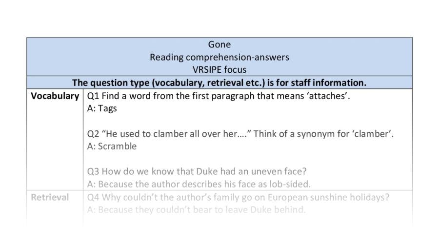 Reading comprehension - Gone - VRSIPE focus