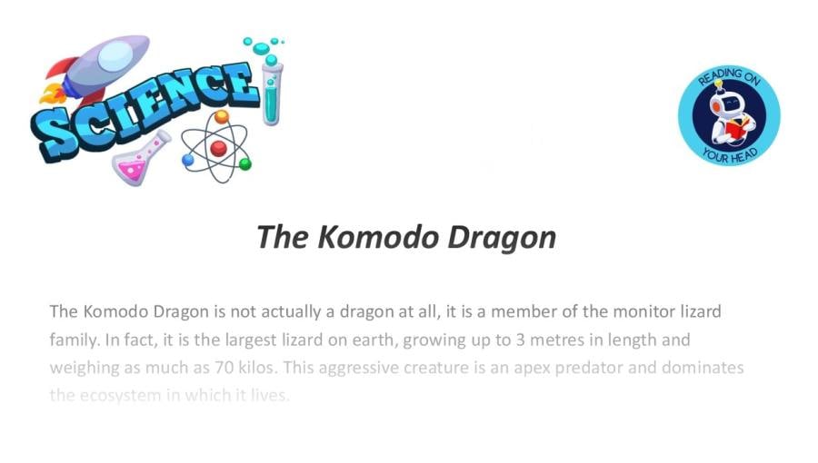 Komodo Dragon HS2