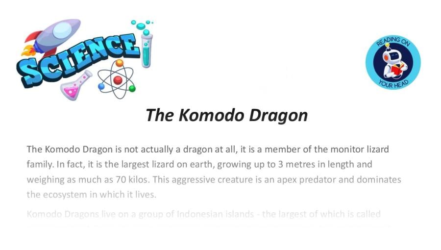 The Komodo Dragon