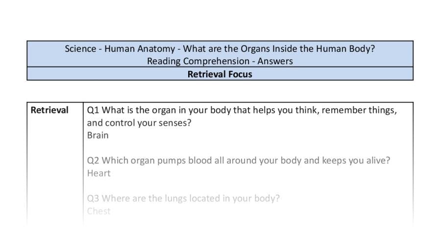 Reading Comprehension - What are the Organs Inside the Human Body - Retrieval Focus