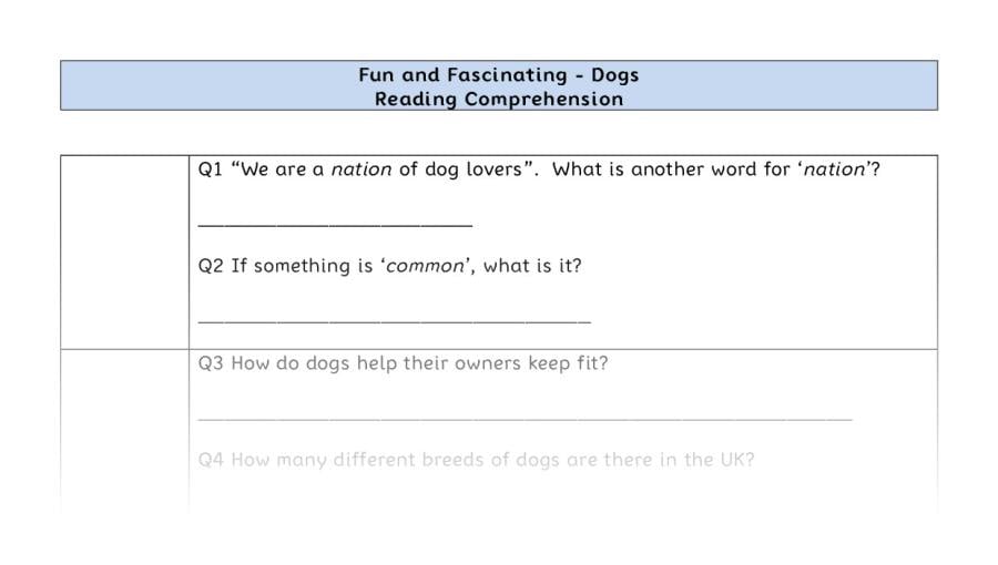 Reading Comprehension-Dogs-VRSIPE Focus