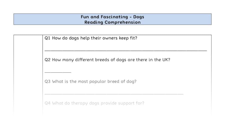 Reading Comprehension-Dogs-Retrieval Focus